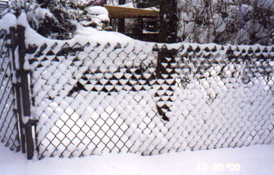 snow12.JPG (35580 bytes)