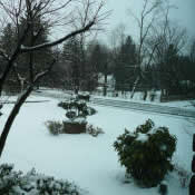 A little snow in early 2008