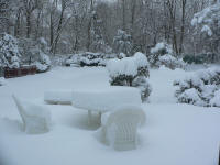 Winter wonderland backyard
