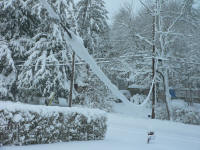 Winter wonderland frontyard