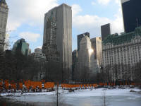 New York from Central Park