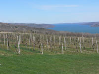 Vineyards at Finger Lakes