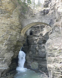 Watkin's Glen