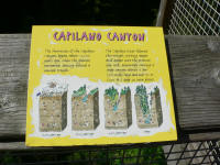 Capilano history