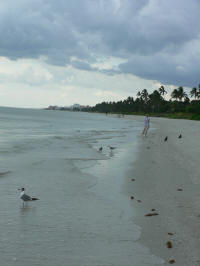 Naples Beach