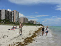 Ft. Lauderdale