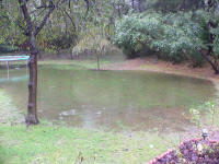 Fall rain pour